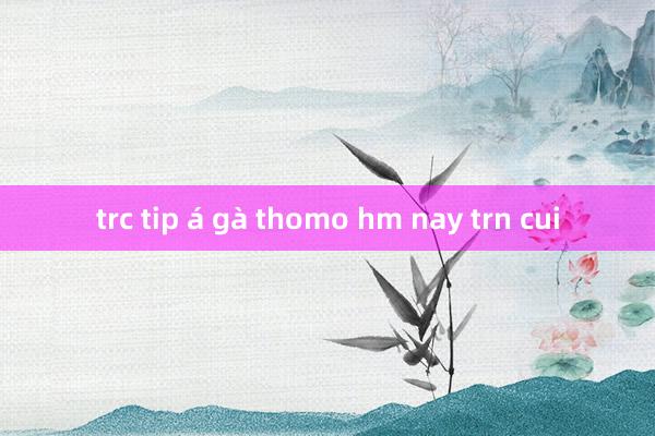 trc tip á gà thomo hm nay trn cui