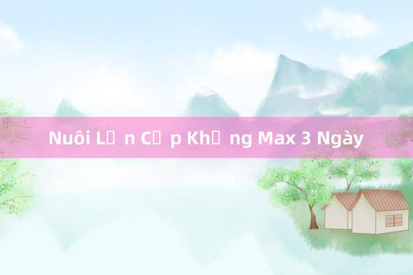 Nuôi Lợn Cặp Khủng Max 3 Ngày