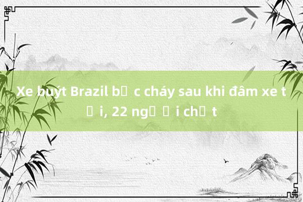 Xe buýt Brazil bốc cháy sau khi đâm xe tải, 22 người chết