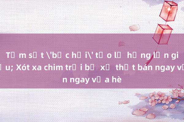 Tấm sắt 'bốc hơi' tạo lỗ hổng lớn giữa cầu; Xót xa chim trời bị xẻ thịt bán ngay vỉa hè