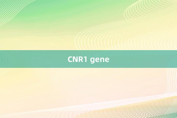 CNR1 gene