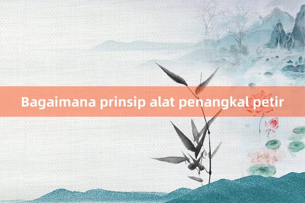 Bagaimana prinsip alat penangkal petir