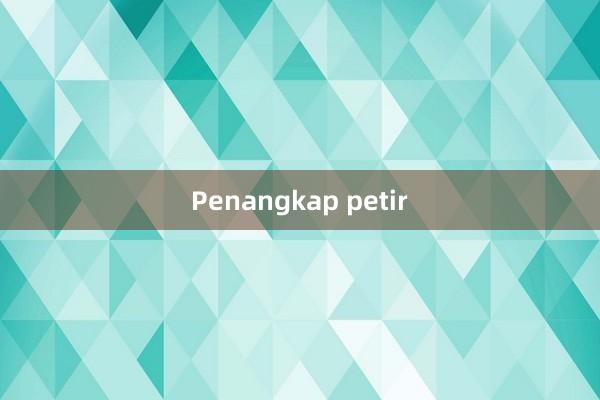 Penangkap petir