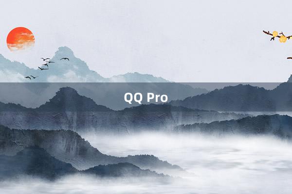 QQ Pro