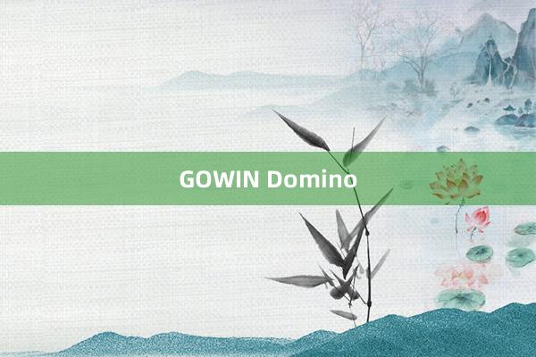 GOWIN Domino