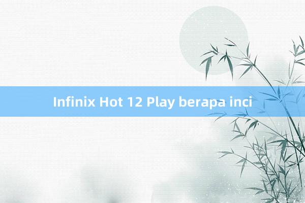 Infinix Hot 12 Play berapa inci