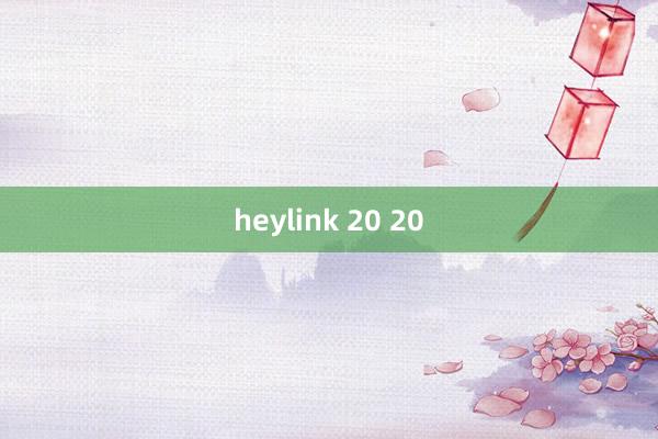 heylink 20 20